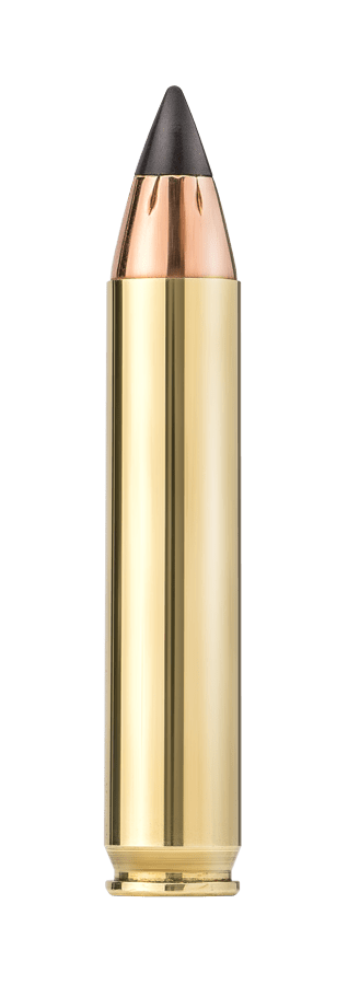 Close-up of a single brass-colored bullet with a dark pointed tip against a black background.